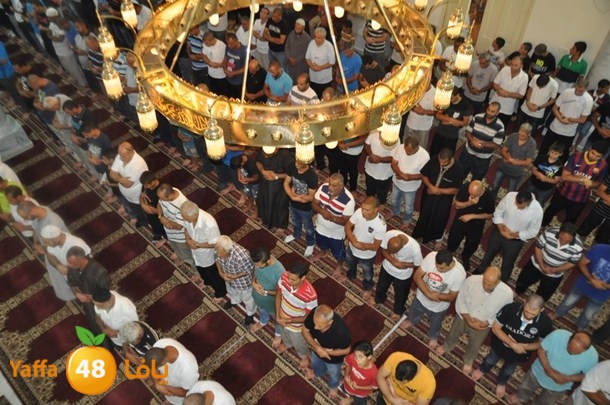 tarawe7 nozhas j (16).JPG